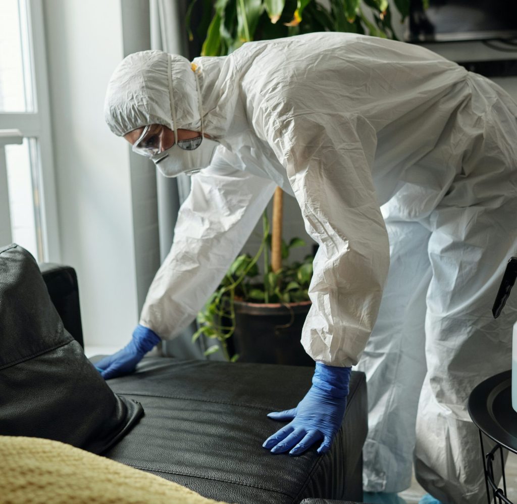 professional upholstery cleaning