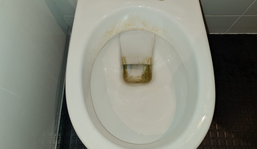 toilet with water removed